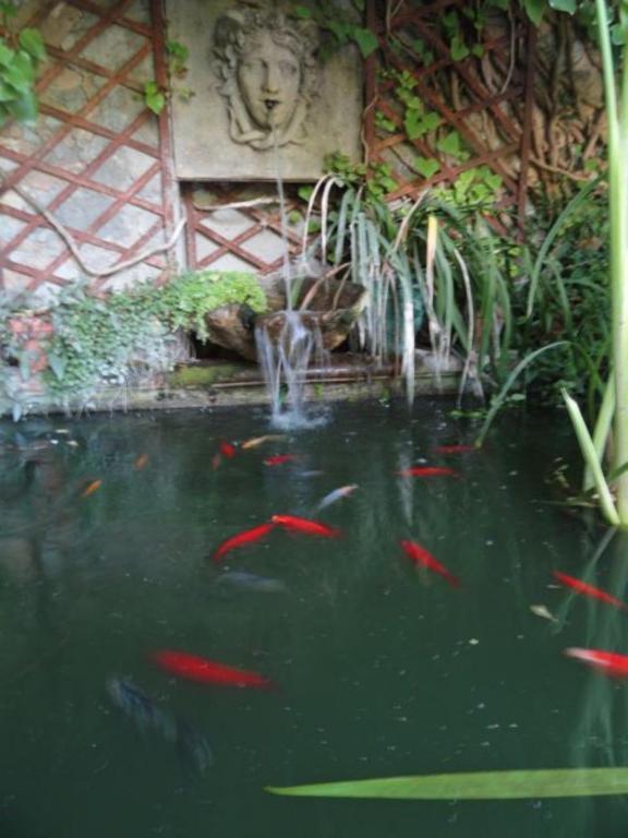Casa Montes Bed & Breakfast Salses-le-Chateau Ngoại thất bức ảnh
